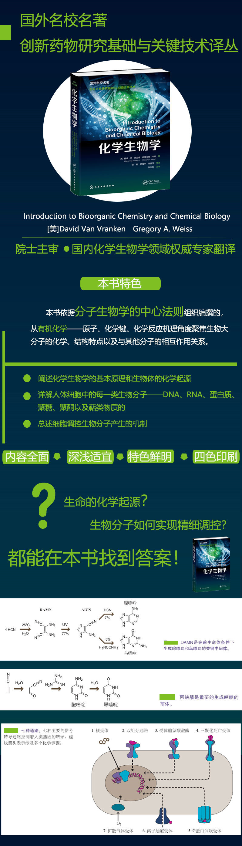 详情-01.jpg