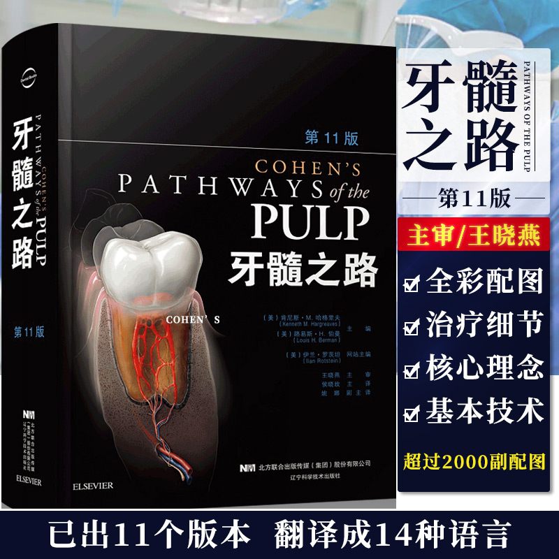【牙髓之路】 （ 第十一版）