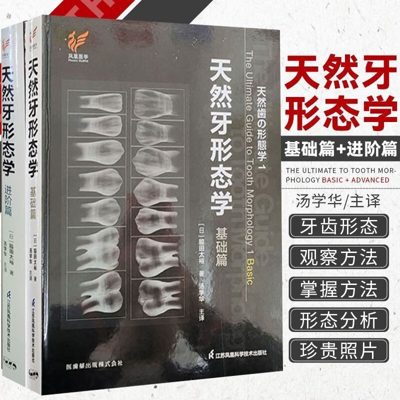 【天然牙形態學】（基礎篇+進階篇）