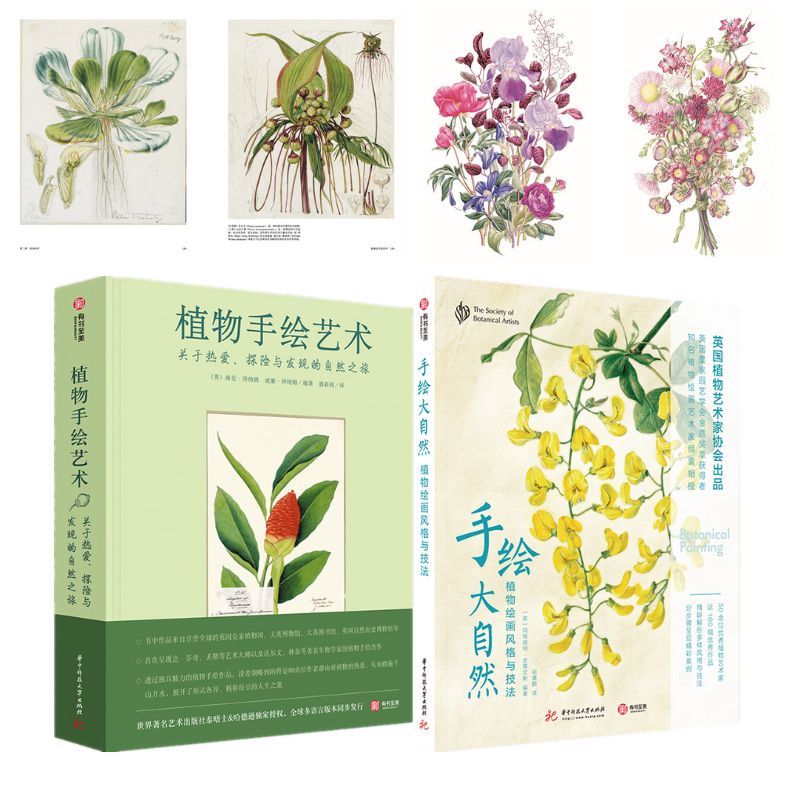 【手繪大自然：植物繪畫風格與技法】+【植物手繪藝術 關於熱愛、探險與發現的自然之旅】