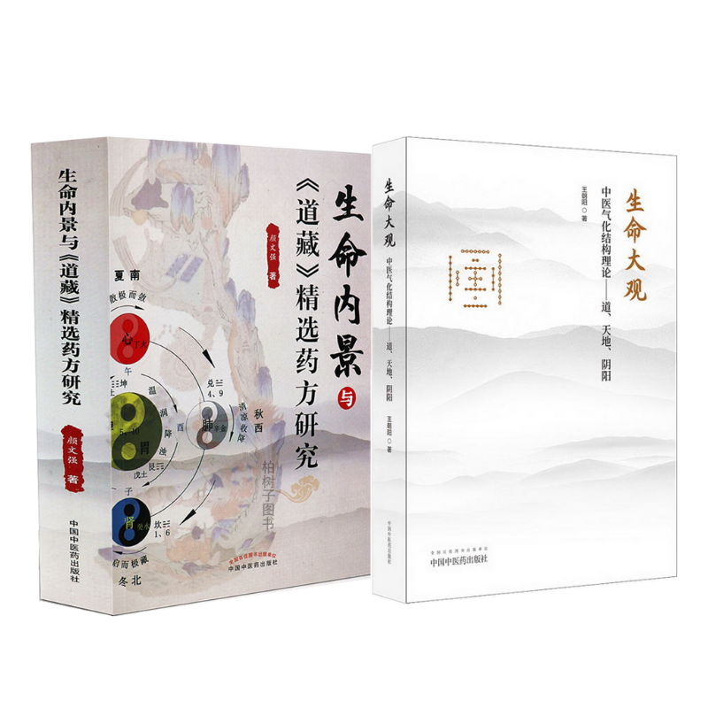 生命內景與《道藏》精選藥方研究 +中醫氣化結構理論·道、天地、陰陽（生命大觀）（2冊）