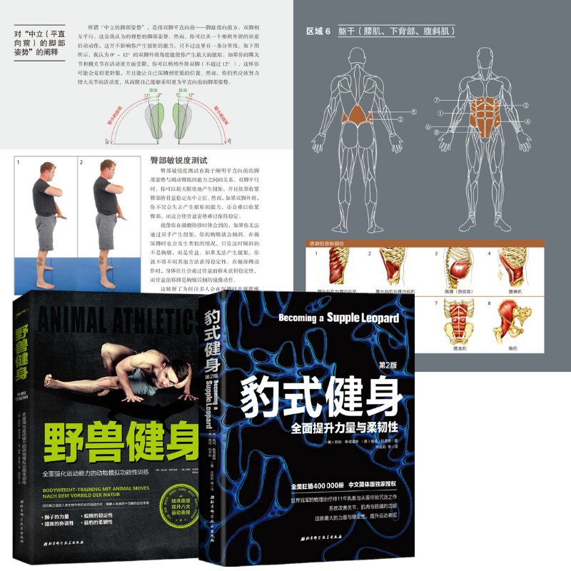 【豹式健身】+【野獸健身】