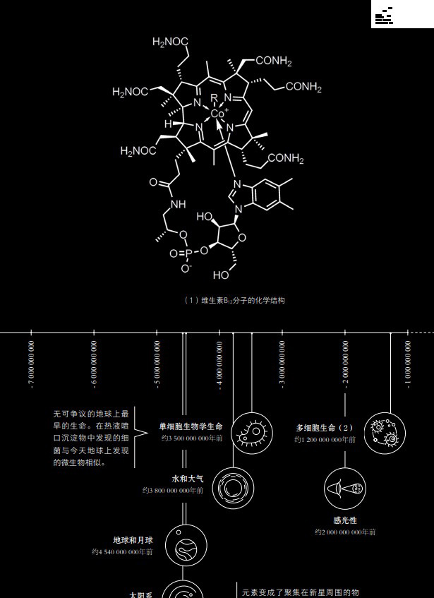 详情-4.jpg