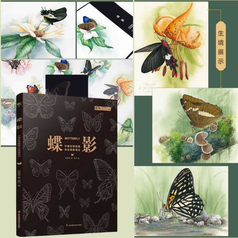 【蝶影：中國珍稀蝴蝶手繪觀察筆記】（超大本精裝）