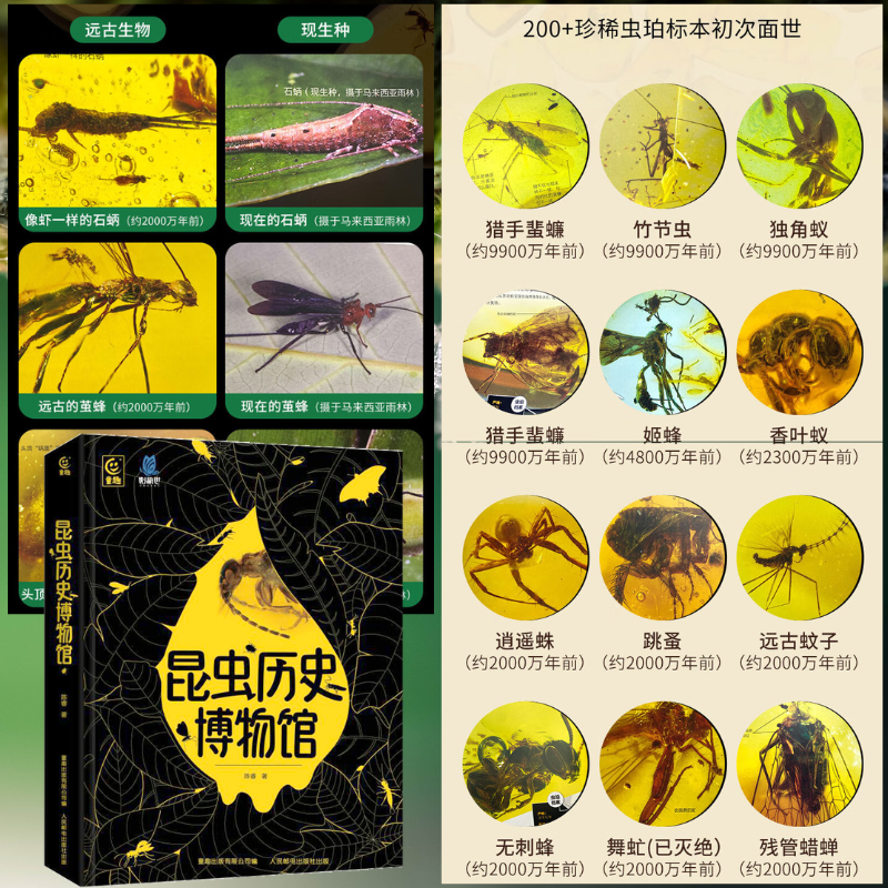 【昆蟲歷史博物館】（精裝）