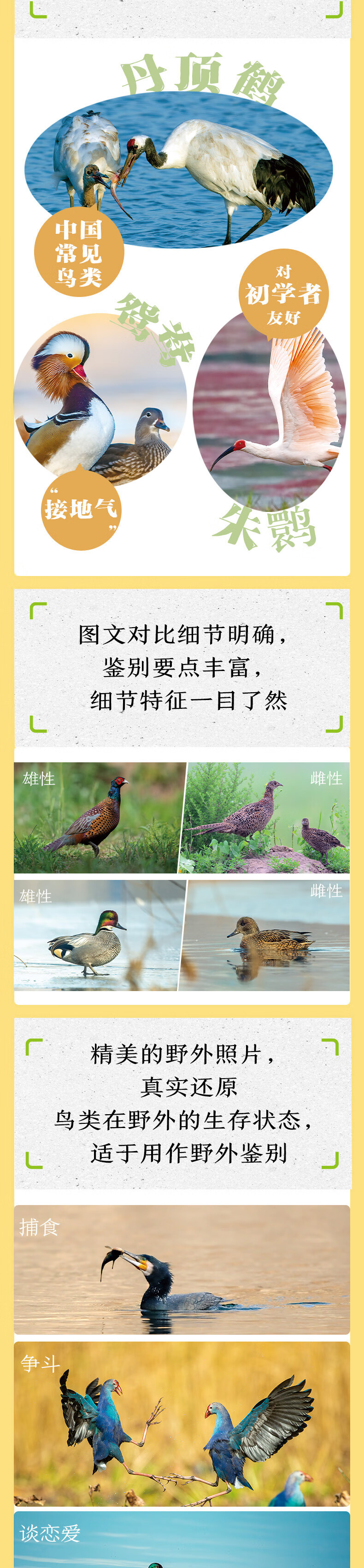 详情-02.jpg