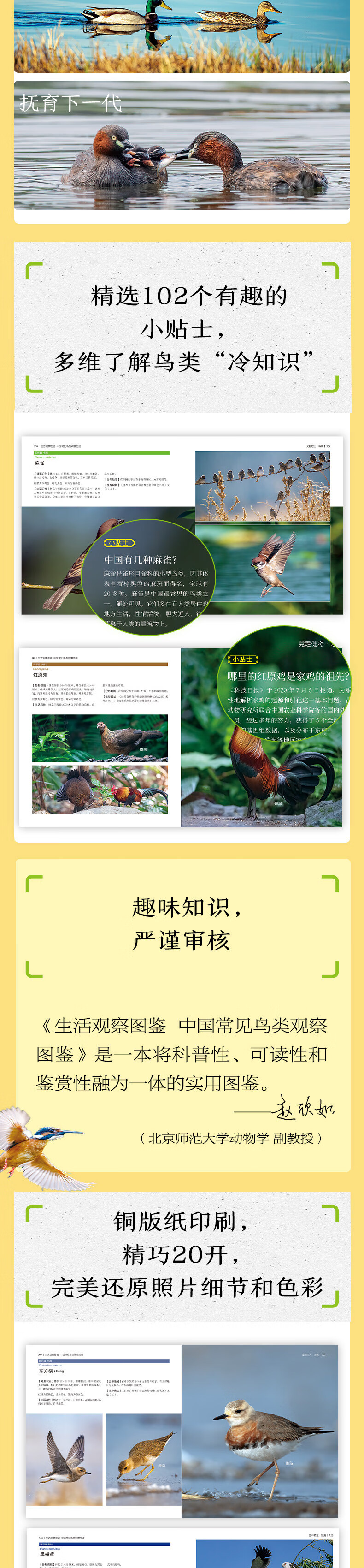 详情-03.jpg