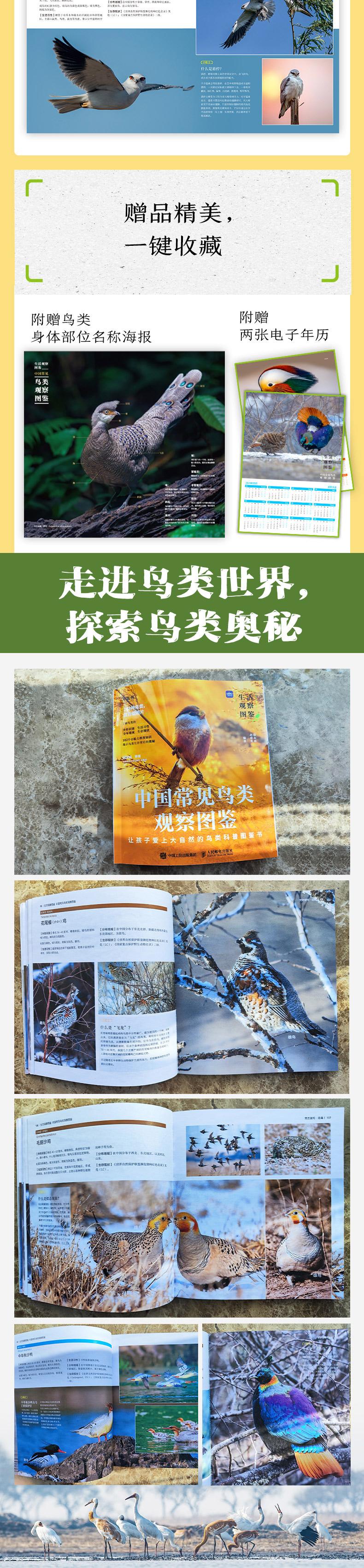 详情-04.jpg