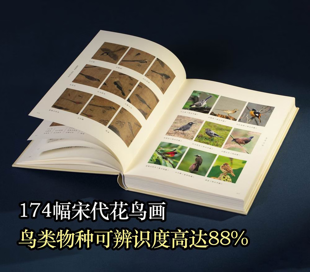 形理兩全：【宋畫中的鳥類】