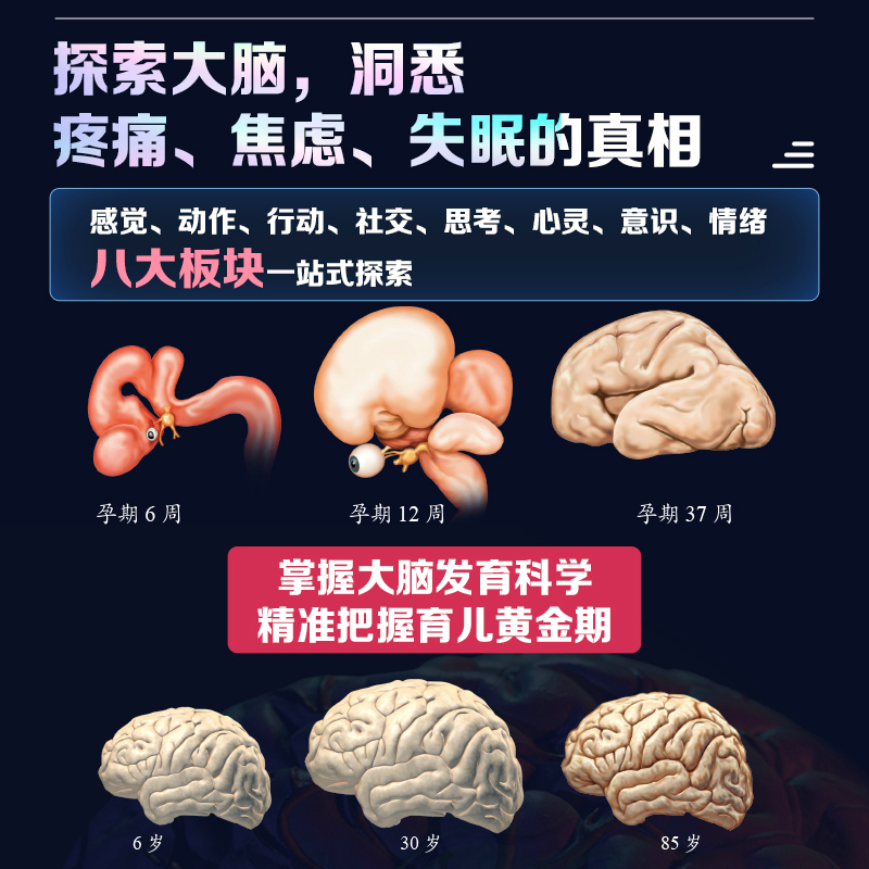 【大腦之書】（系統解讀大腦工作原理）