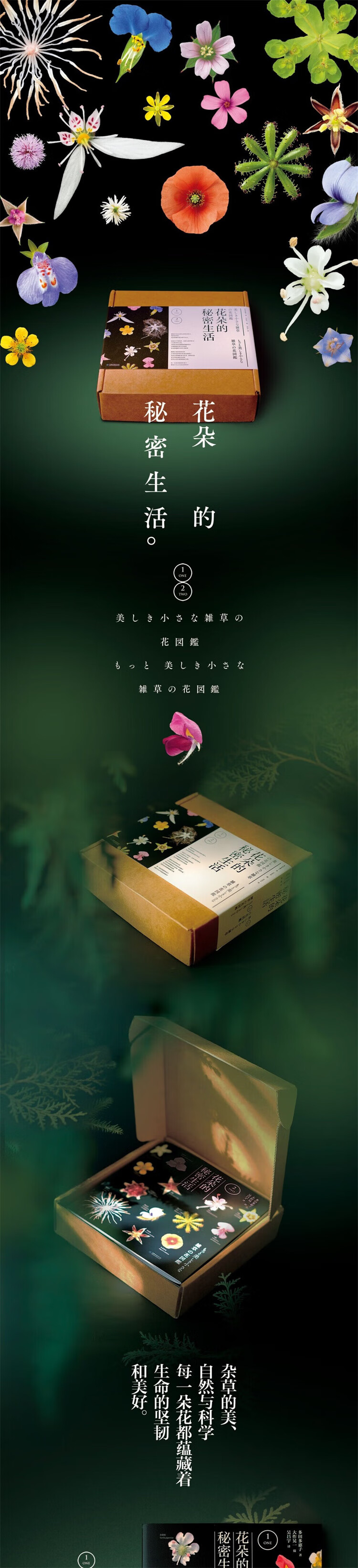 详情_001.jpg