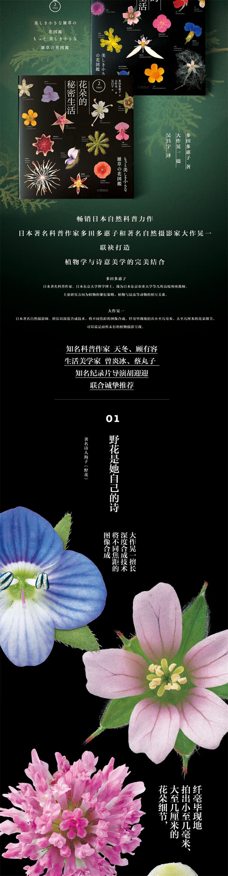 详情_002.jpg