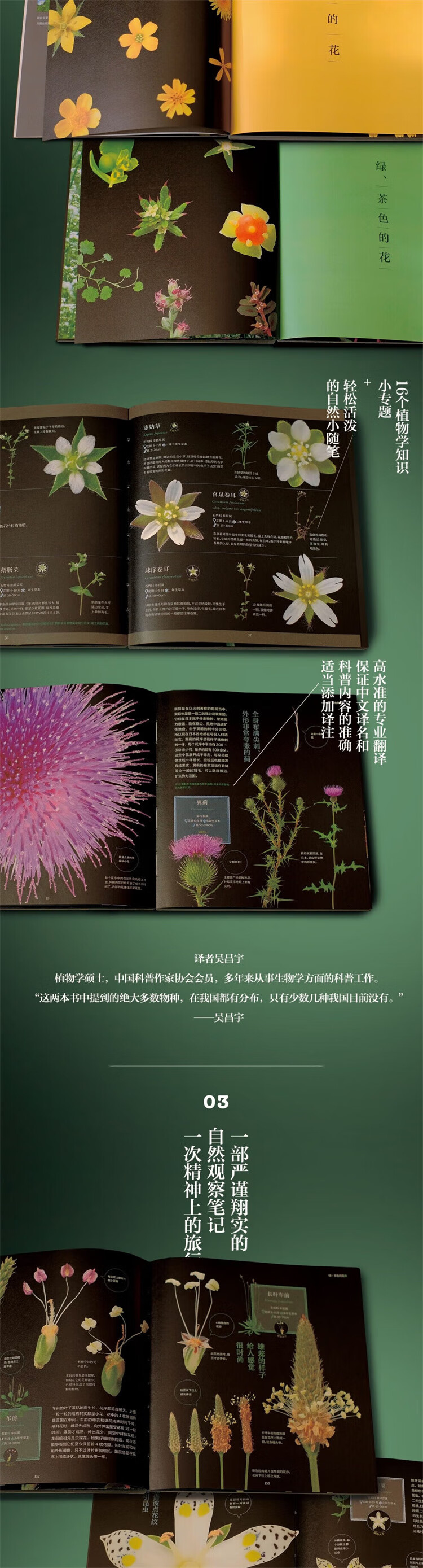 详情_004.jpg