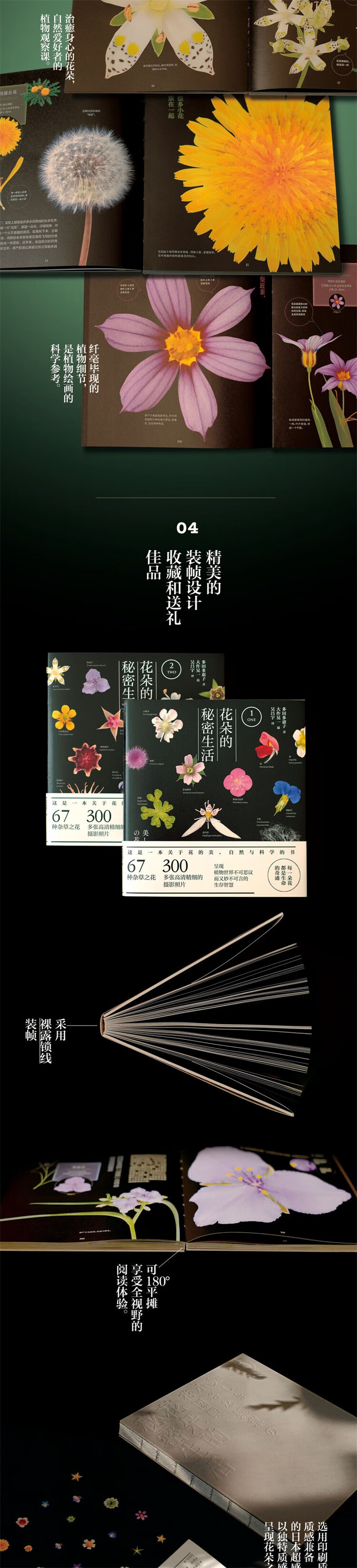 详情_005.jpg