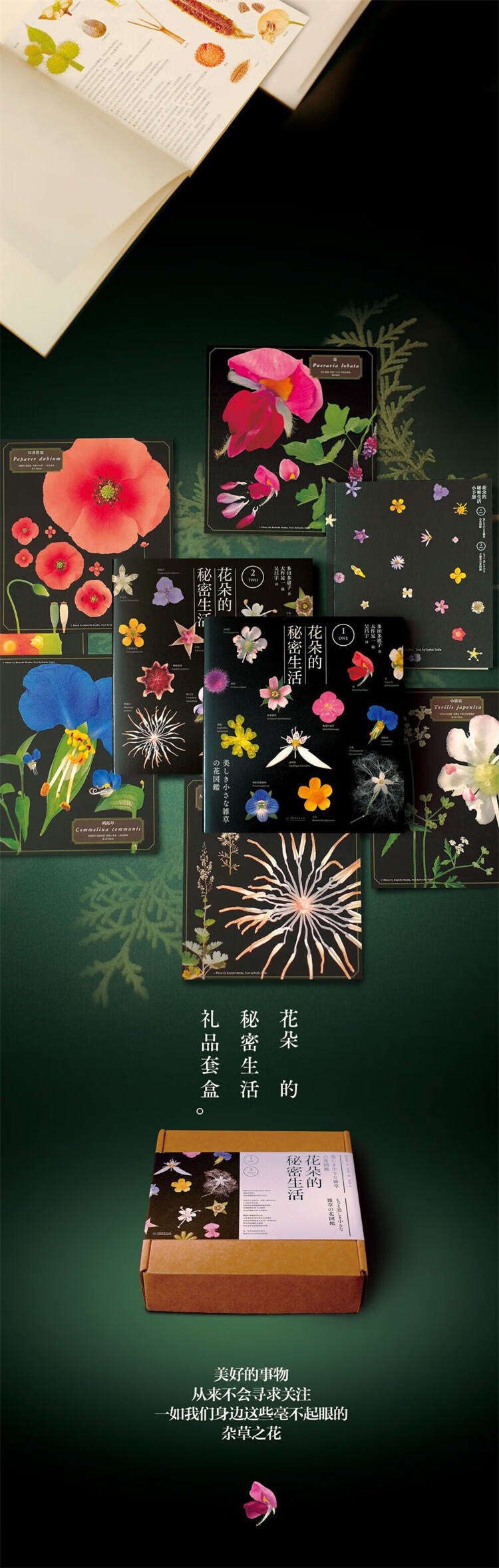 详情_007.jpg