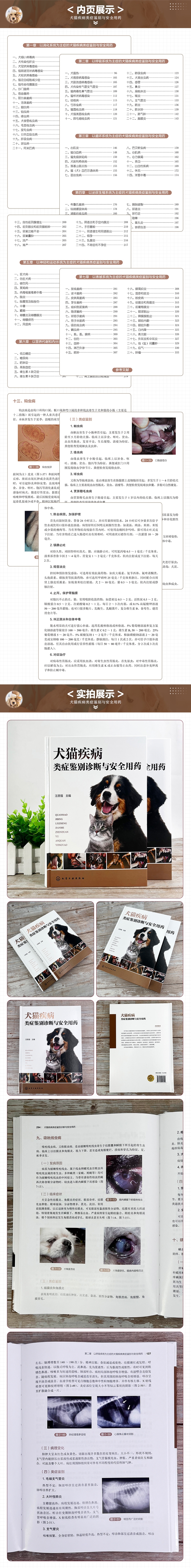 1716368643972768.jpg 10009.jpg