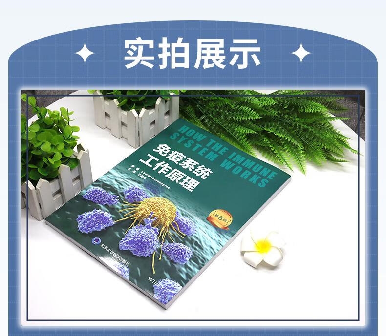 DM_20240711150718_004 - 副本.jpg