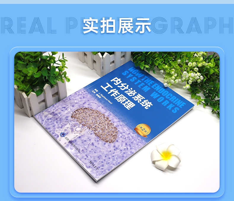 DM_20240711150030_004 - 副本.jpg