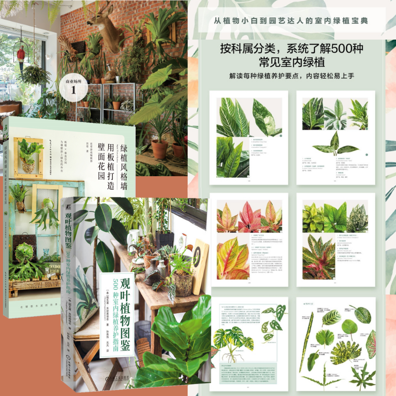 2024新版：【觀葉植物圖鑒】[泰]+【綠植風格牆：用板植打造壁面花園】