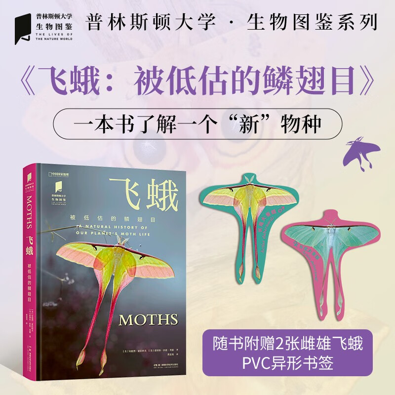 普林斯頓大學生物圖鑒：【飛蛾（被低估的鱗翅目）+甲蟲（鞘翅目征服地球）】