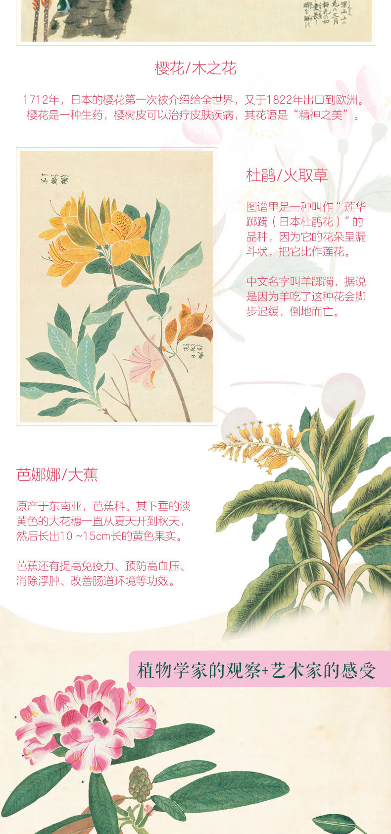 1731319219167297.jpg 详情_002.jpg