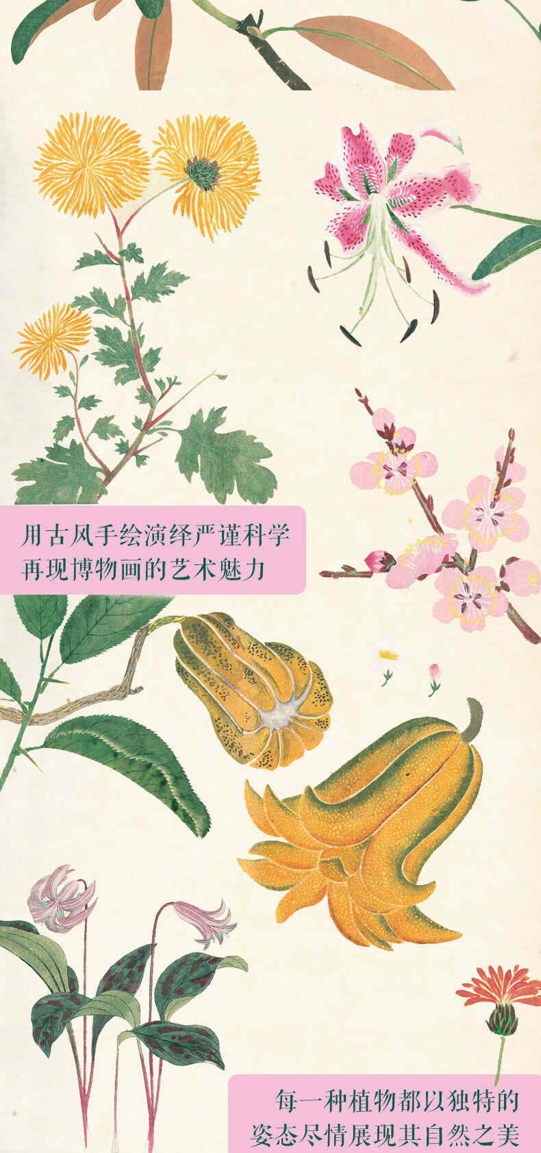 1731319221471062.jpg 详情_003.jpg