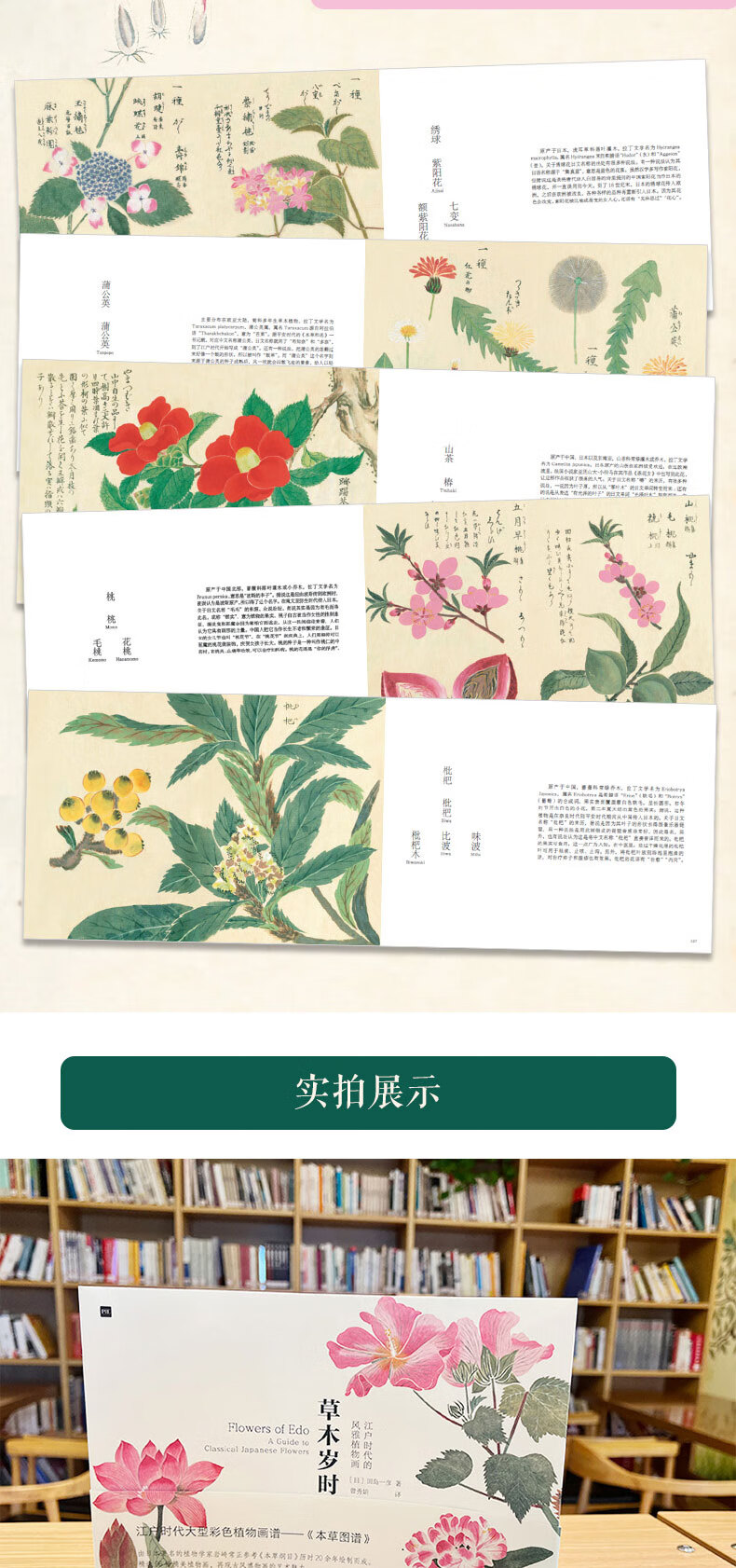 1731319224796640.jpg 详情_004.jpg