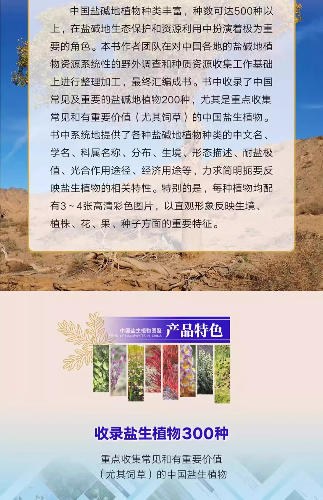 1746433663695005.jpg