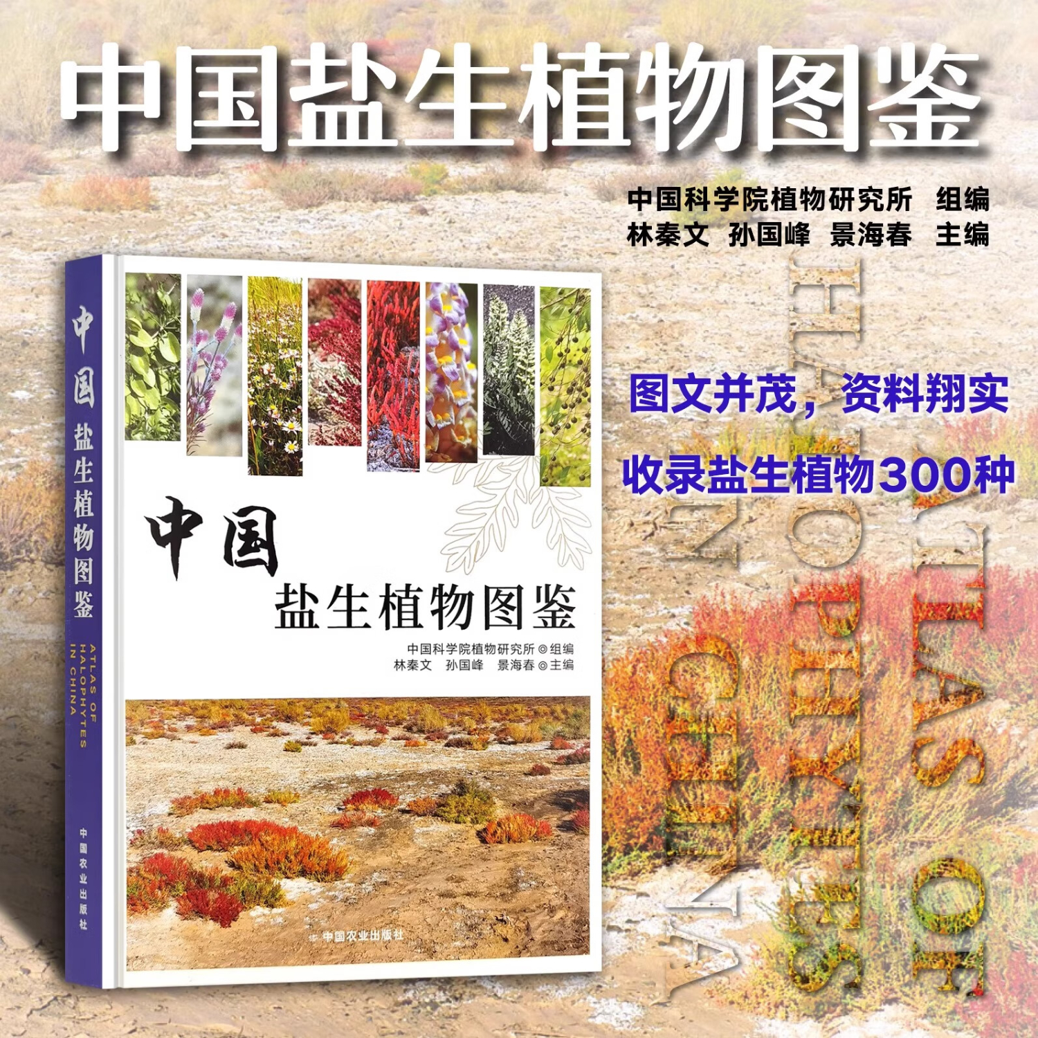 【鹽生植物圖鑒】