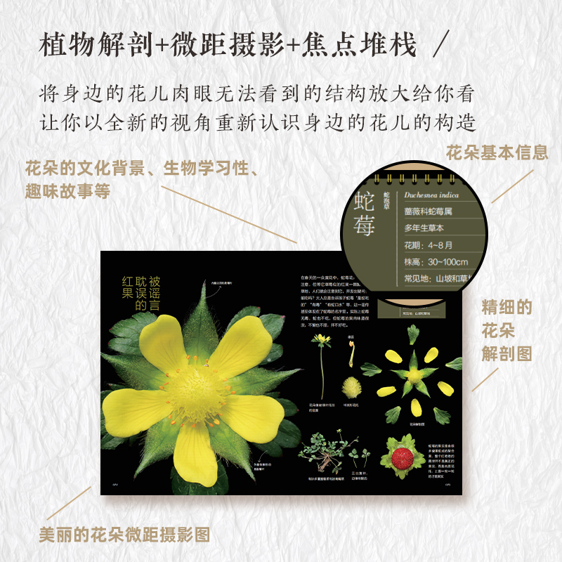 【如何觀察身邊的花：有趣的植物解剖圖鑒】+【探秘種子：顯微鏡下的奇妙世界】