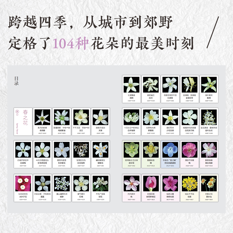 【如何觀察身邊的花：有趣的植物解剖圖鑒】+【探秘種子：顯微鏡下的奇妙世界】