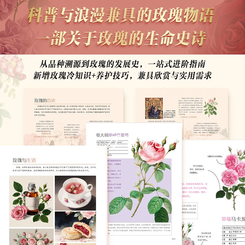給優雅盛放浪漫生活的你【玫瑰全書】（禮盒典藏特裝刷邊版）