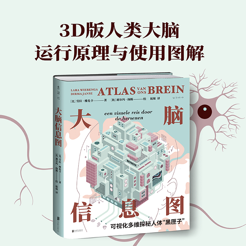 【大腦資訊圖：3D版大腦運行原理】（視覺化多元探秘人體黑匣子！）