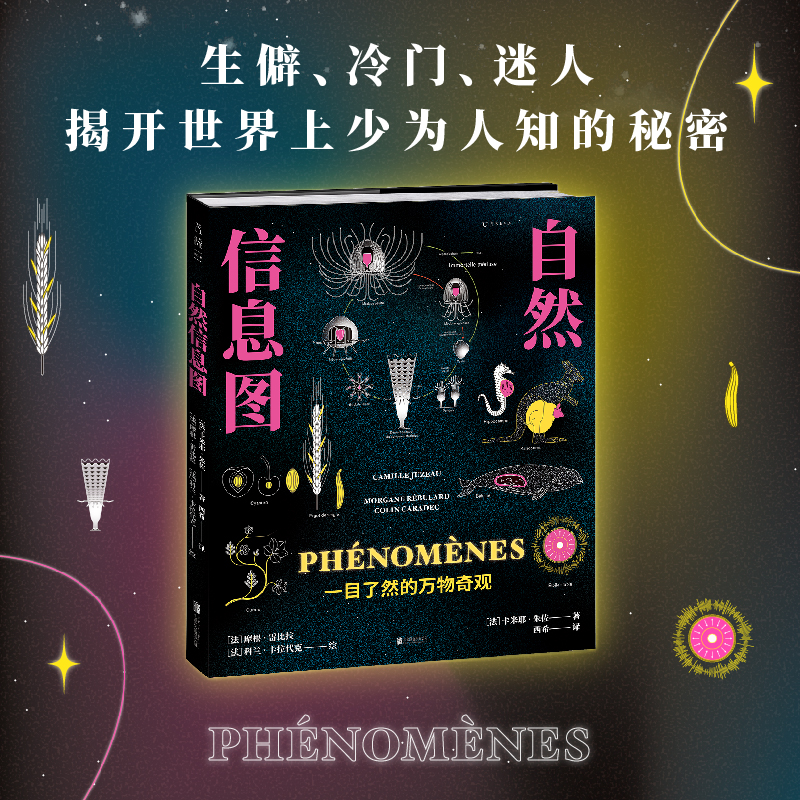 【大腦資訊圖：3D版大腦運行原理】（視覺化多元探秘人體黑匣子！）